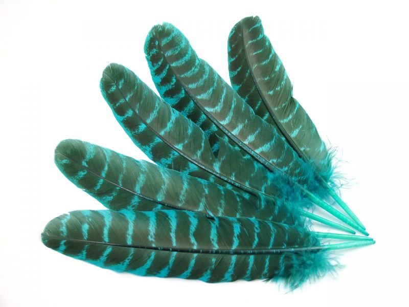 Dyed Bronze Turkey Quills (Pack of 5) 2