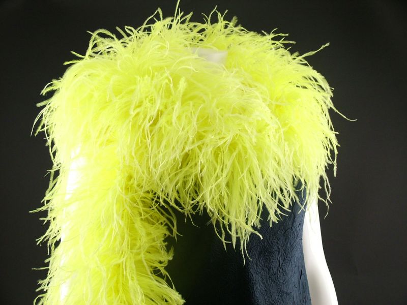 Dancewear Ostrich Feather Boa 1