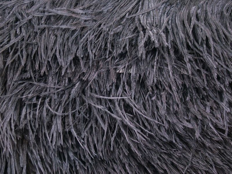Special Offer Black Ostrich Fringe 2 Ply (5 metre) 3