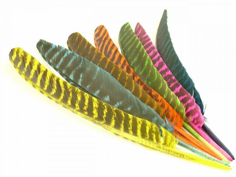 Dyed Bronze Turkey Pointers (Pack of 5) 1