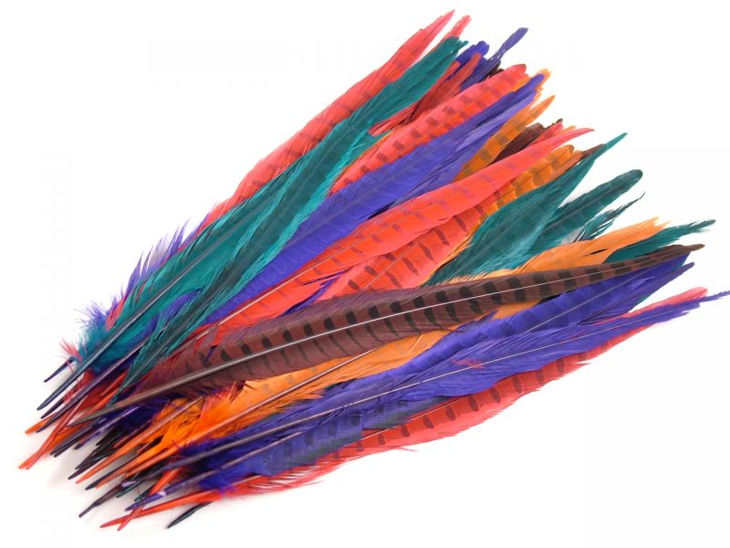 Pheasant Craft Pack (approx 50 feathers) 1