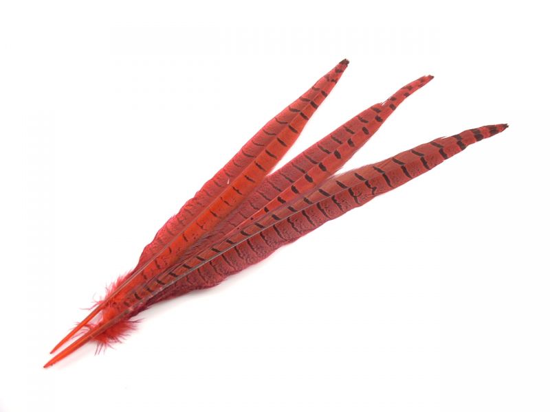 Special Offer Red Pheasant Side Seconds 2