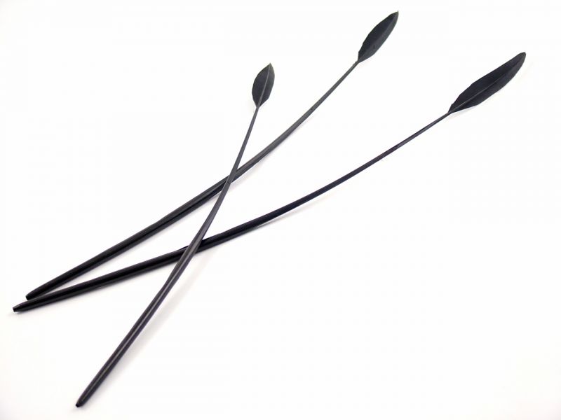 Black Feather Frond 1