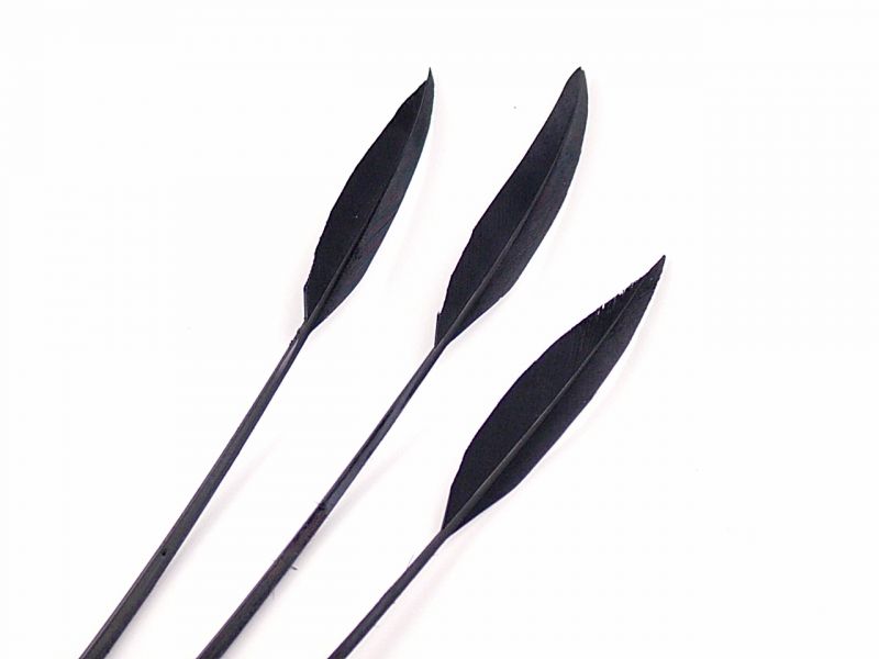 Black Feather Frond 3