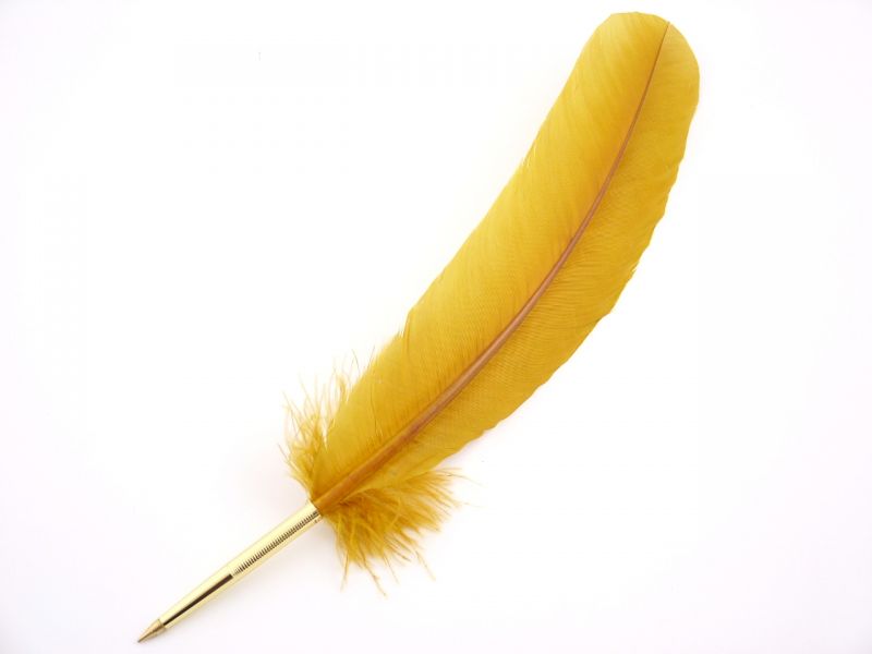 Turkey Feather Pen 1