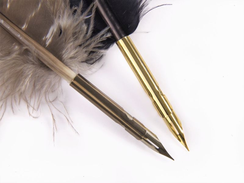 Turkey Feather Pen 3