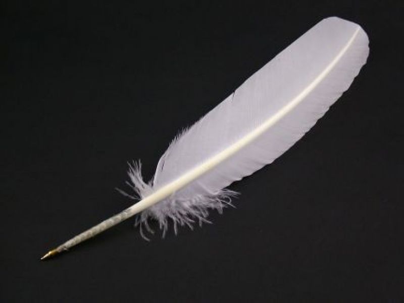 Turkey Feather Pen 4