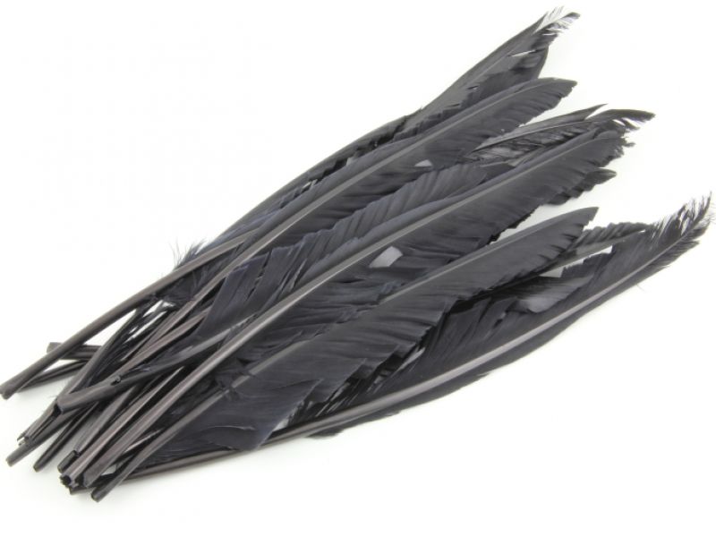 Special Offer Black Goose Pointers (Pack of 25) 1