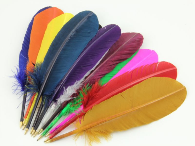 Fun Party Pack of Turkey Quill pens  1