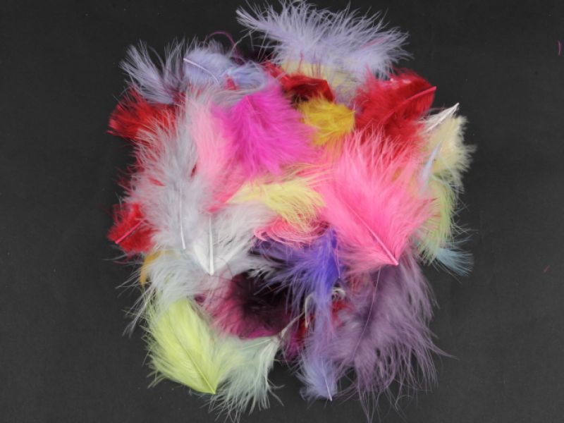 Special Offer Fun Fluffy feathers (20g Pack) 1