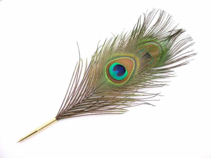 Peacock Eye Feather Pen 1