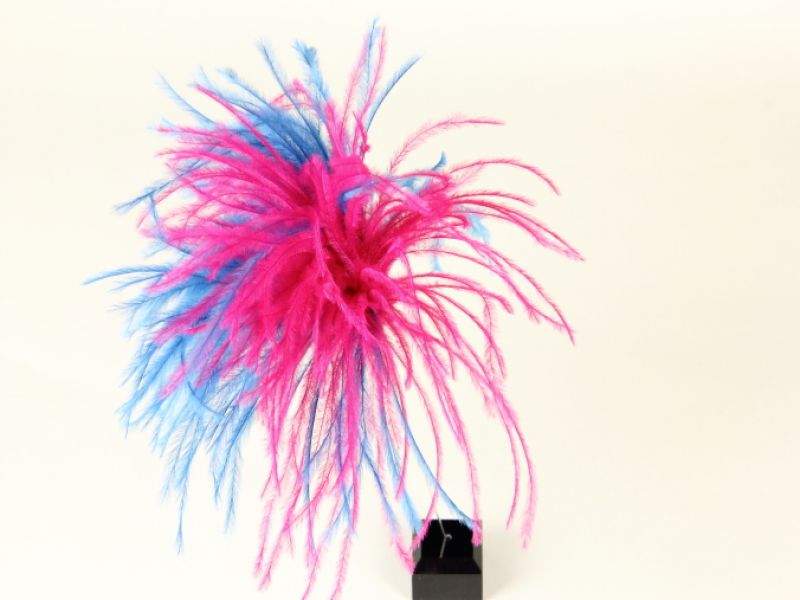 Ostrich Feather Duo Hat Pin 1
