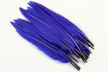 Special Offer Royal Blue Duck Quills (Pack of 25)