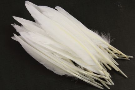 Special Offer White Duck Quill (100g)