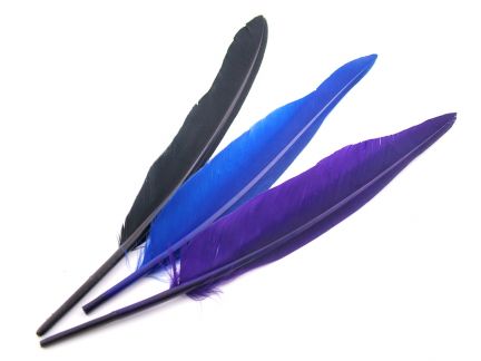 Duck Quills (Pack of 10)