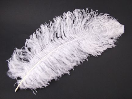 Super Prime Male Ostrich Feather (60-75cm)