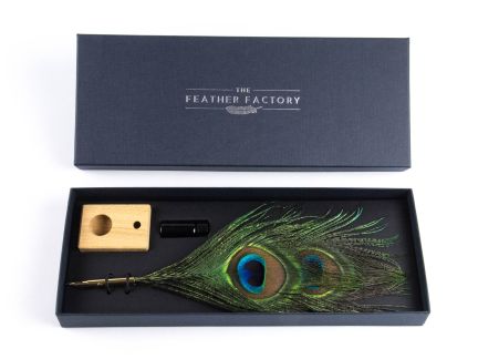 Peacock Eye Feather Nib Pen Set