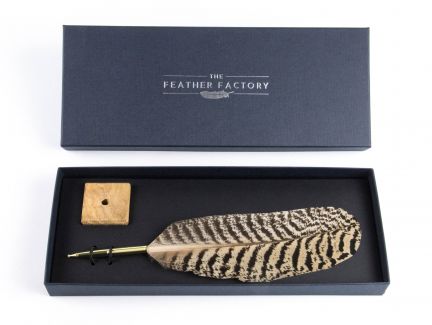 Peacock Wing Feather Deluxe Ballpoint Pen Set