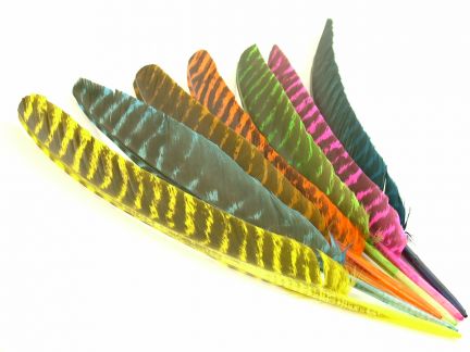Dyed Bronze Turkey Pointers (Pack of 5)