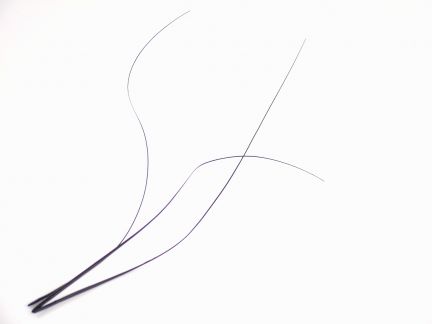 Black Coque Whiskers (Pack of 3)