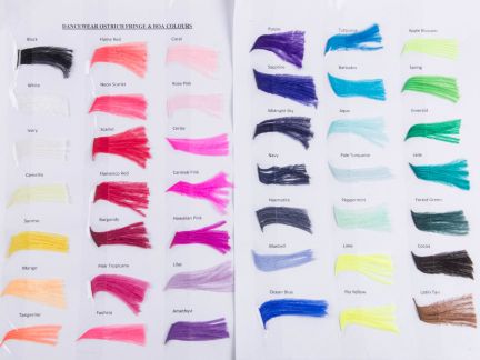 Dancewear Ostrich Colour Chart 