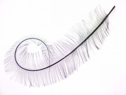 Special Offer Burnt Ostrich Feather Curl