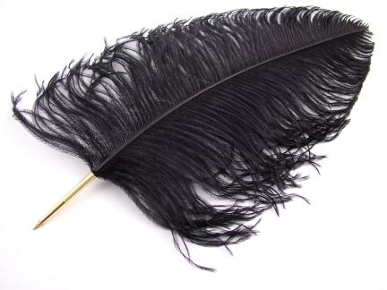 Ostrich Feather Pen