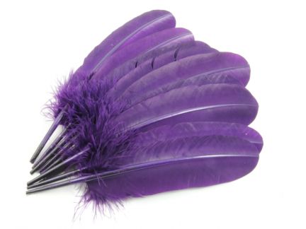 Special Offer Purple Turkey Quills (pack of 10)