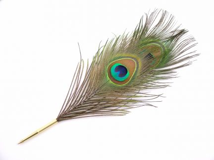 Peacock Eye Feather Pen